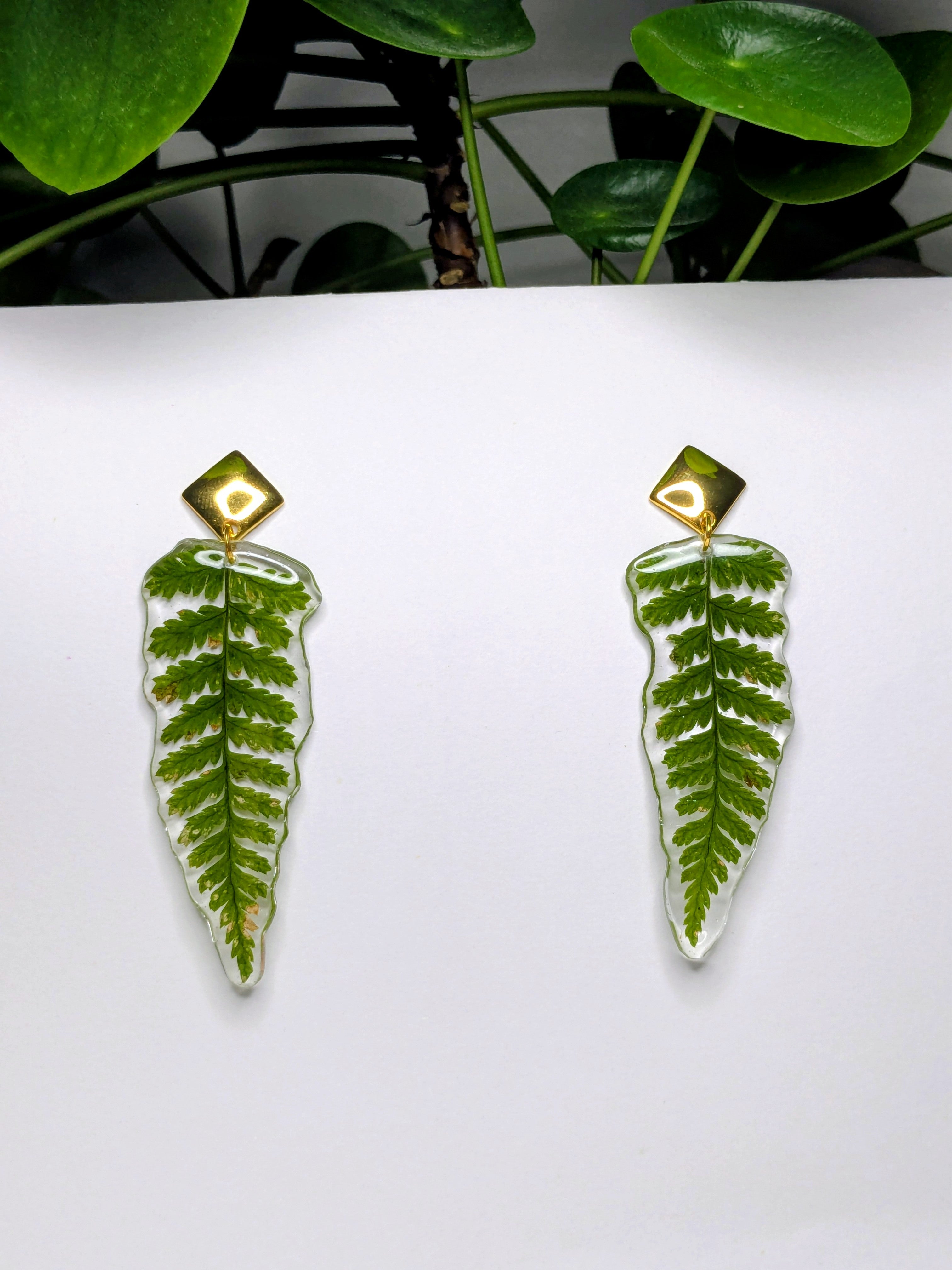 Boucles d'oreilles fougères