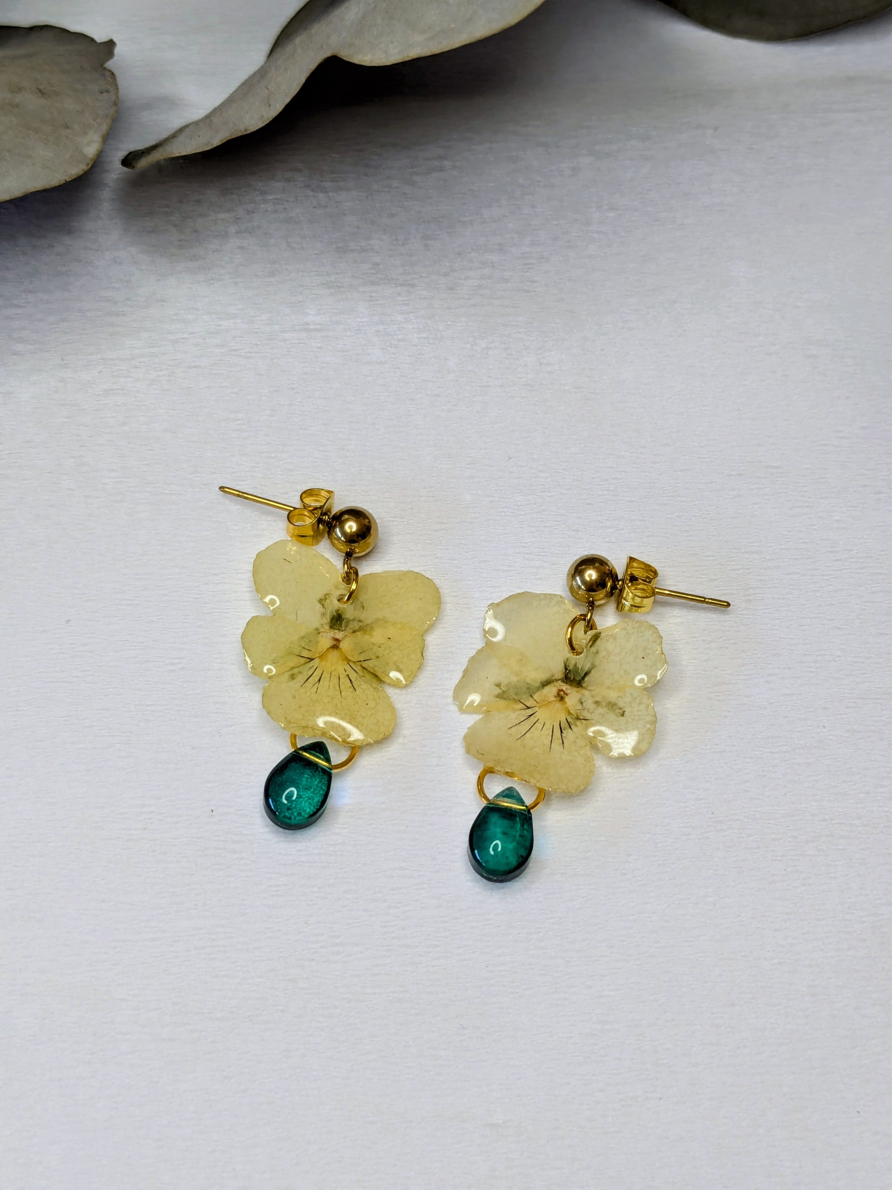 Puces d'oreilles Pensées