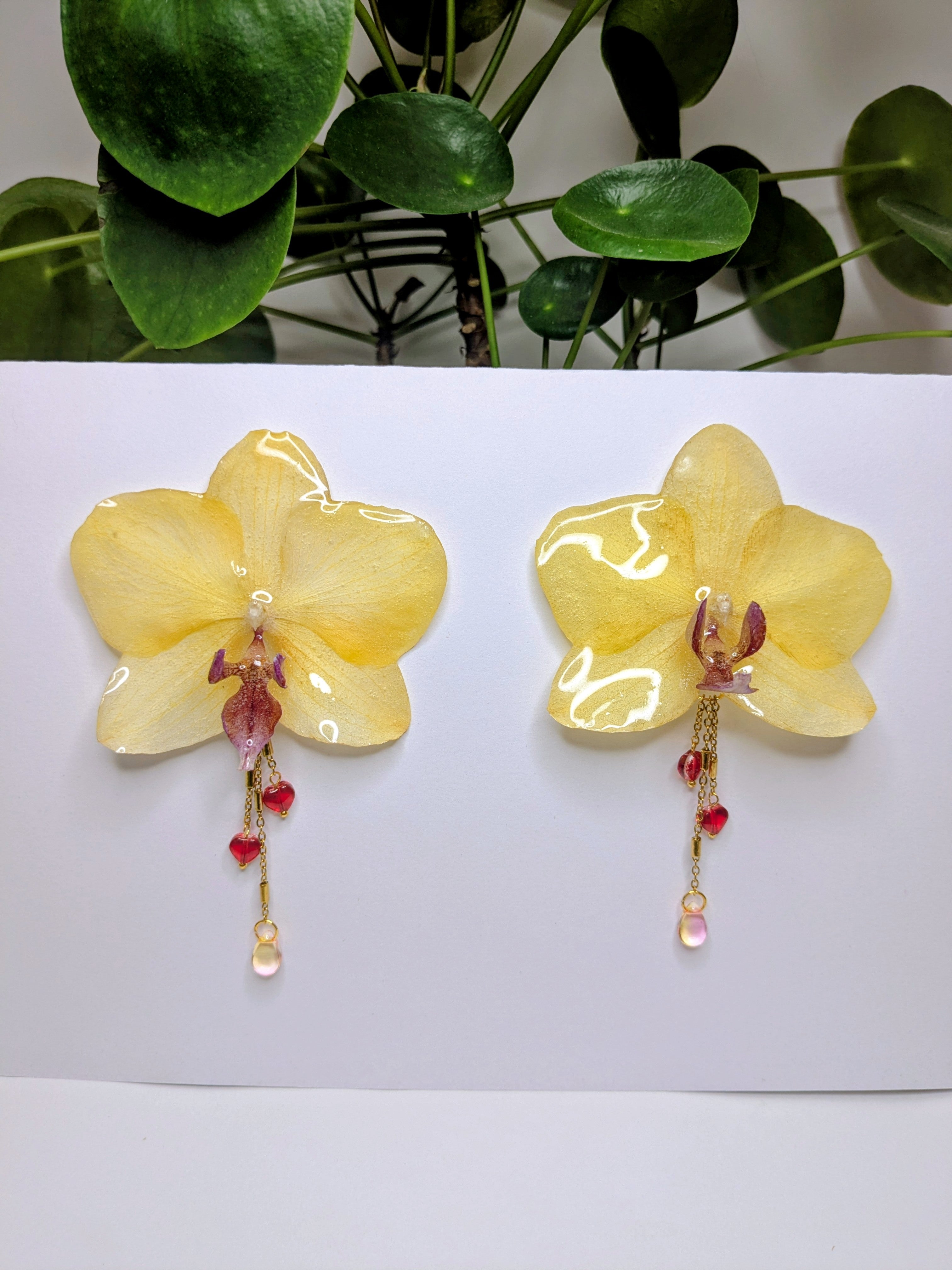 Boucles d'oreilles Orchidées