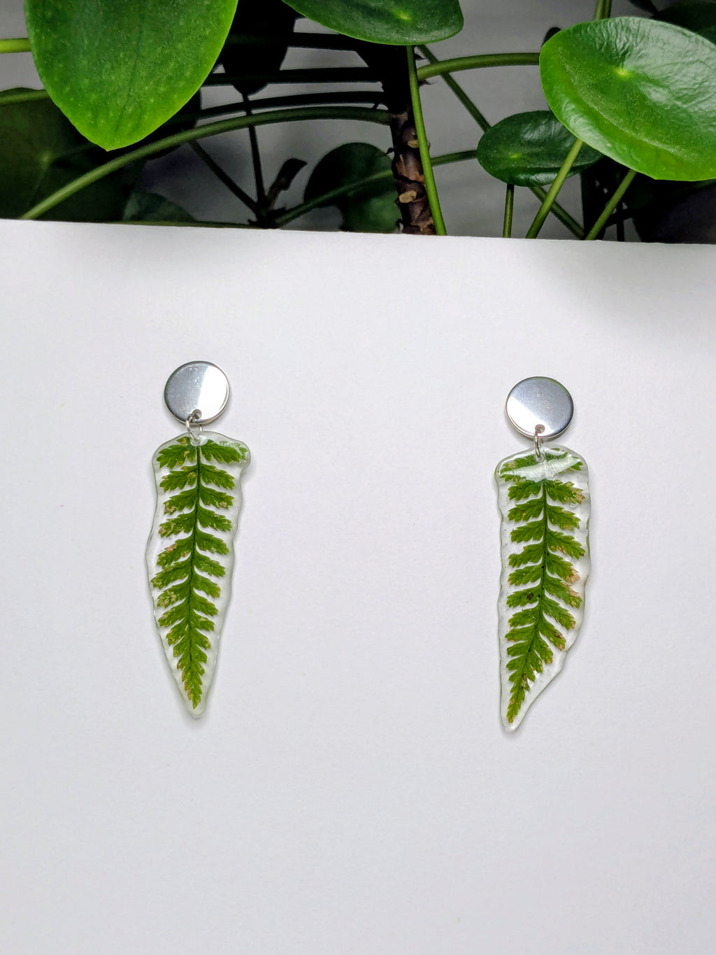 Boucles d'oreilles fougères