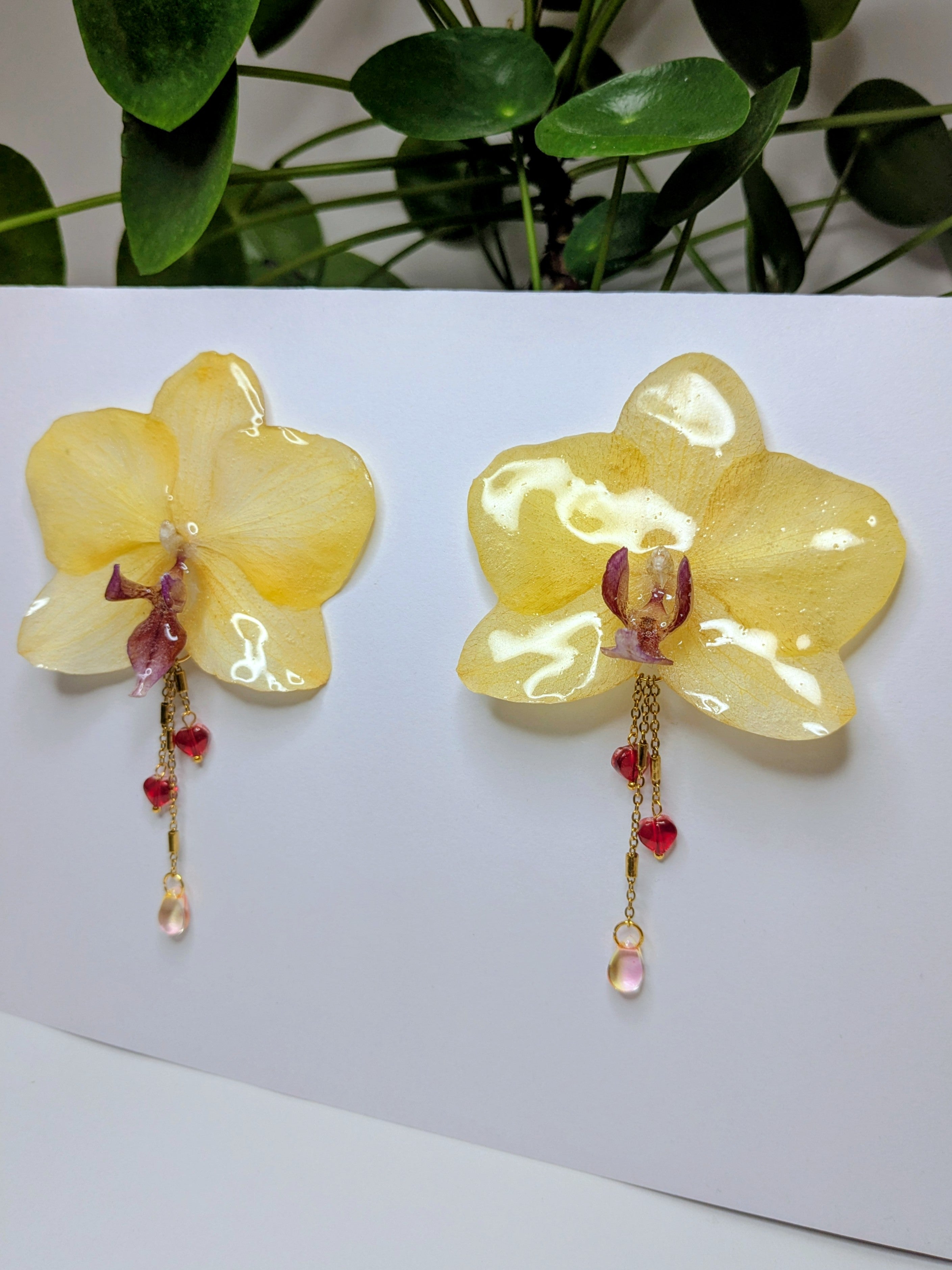 Boucles d'oreilles Orchidées