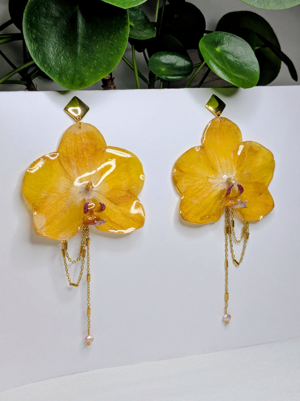Boucles d'oreilles Orchidées