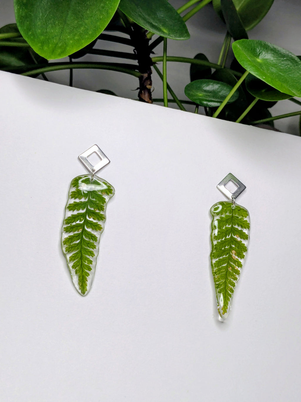 .Boucles d'oreilles fougères