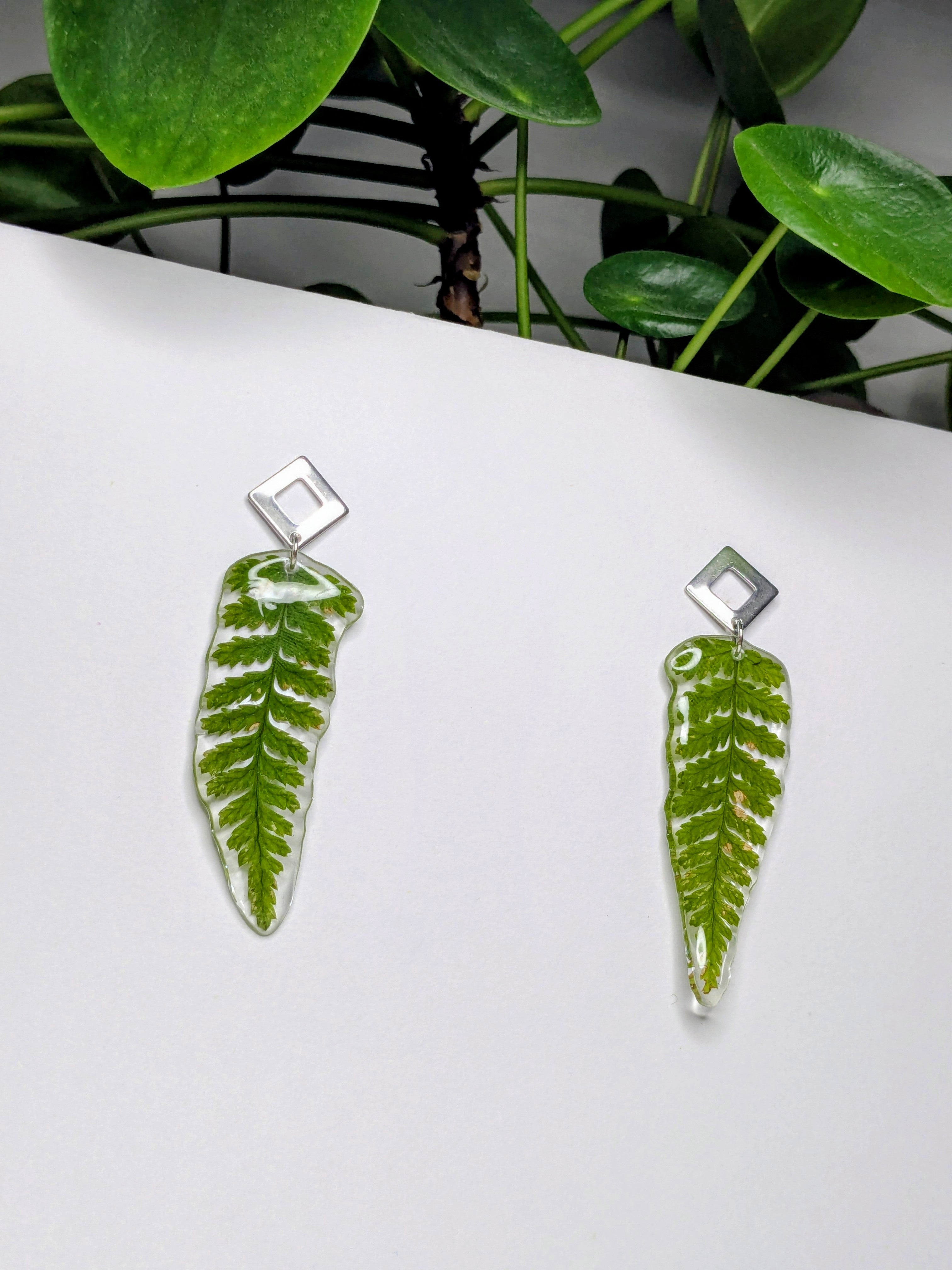 .Boucles d'oreilles fougères