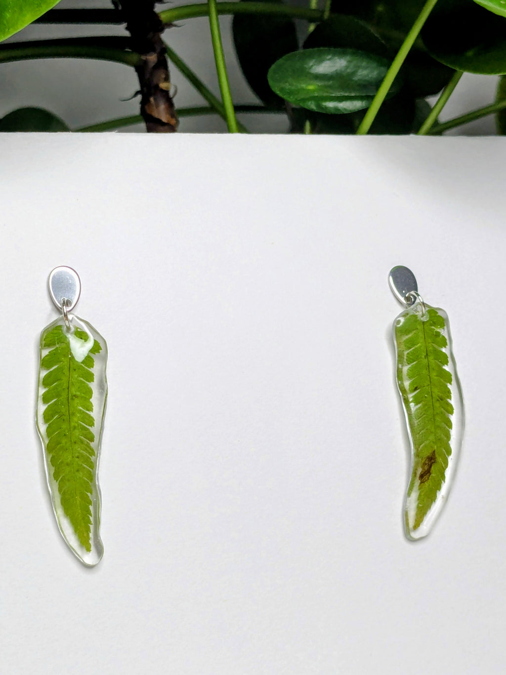 Boucles d'oreilles fougère