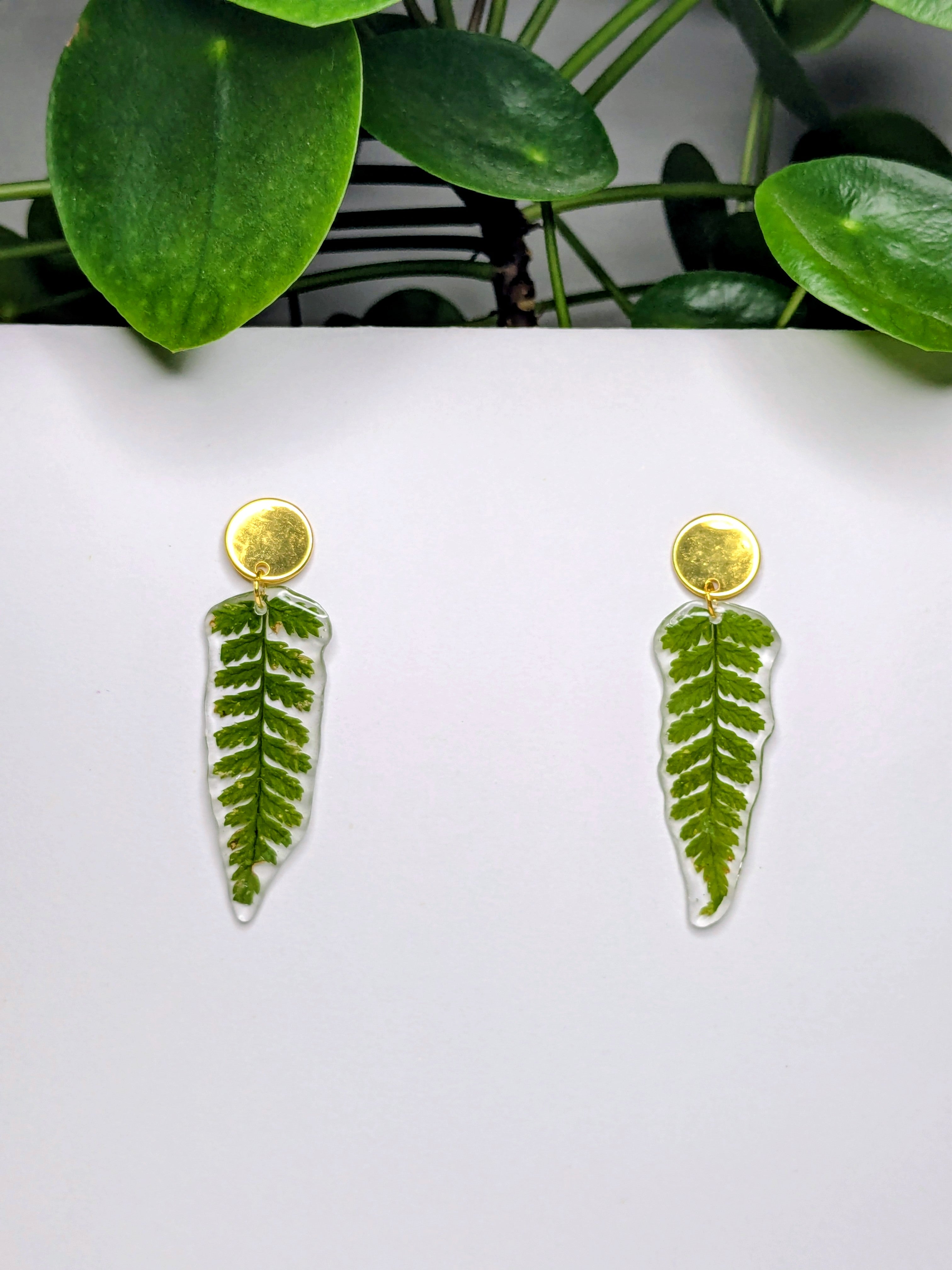 Boucles d'oreilles fougères