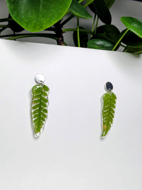 Boucles d'oreilles fougères