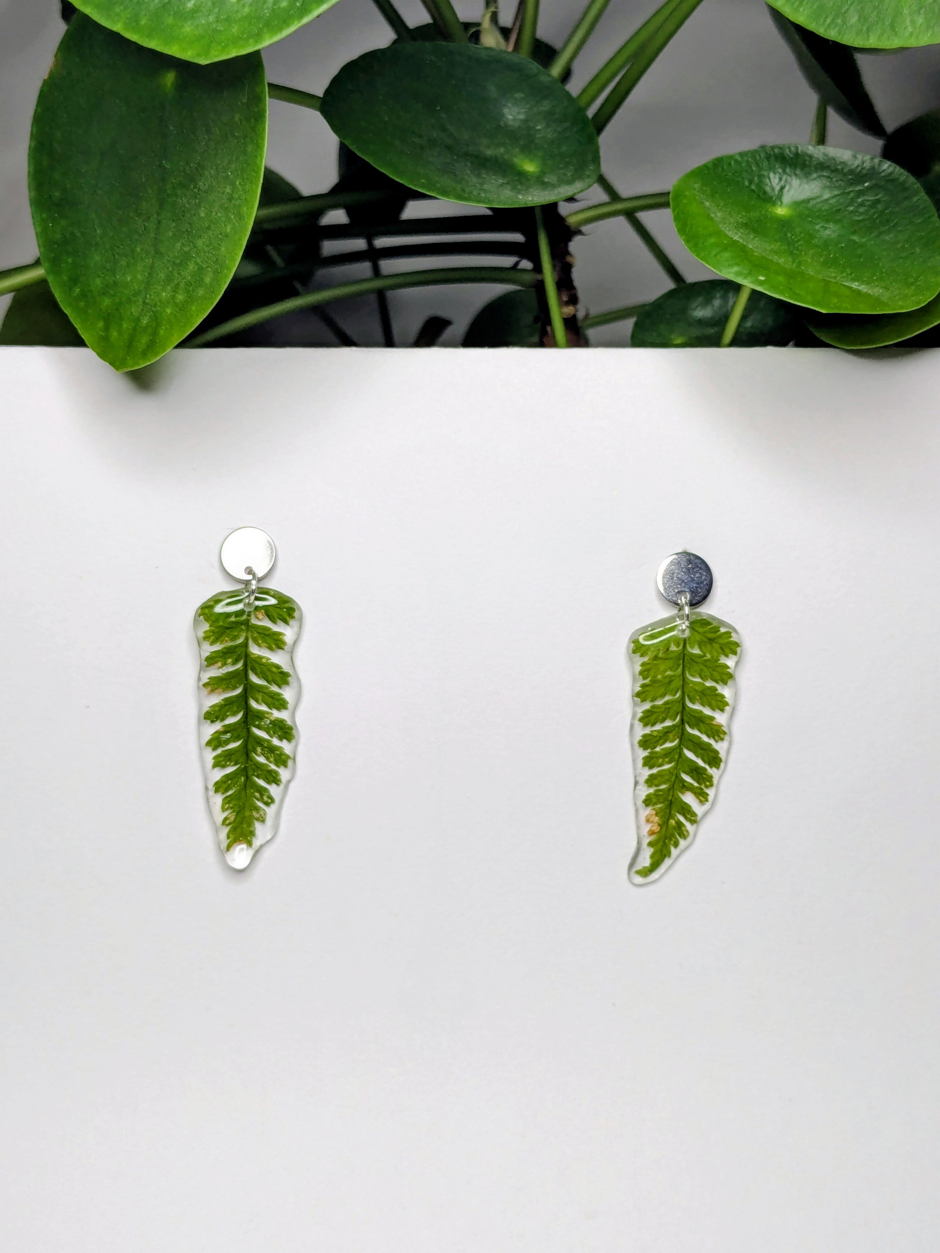 Boucles d'oreilles fougères