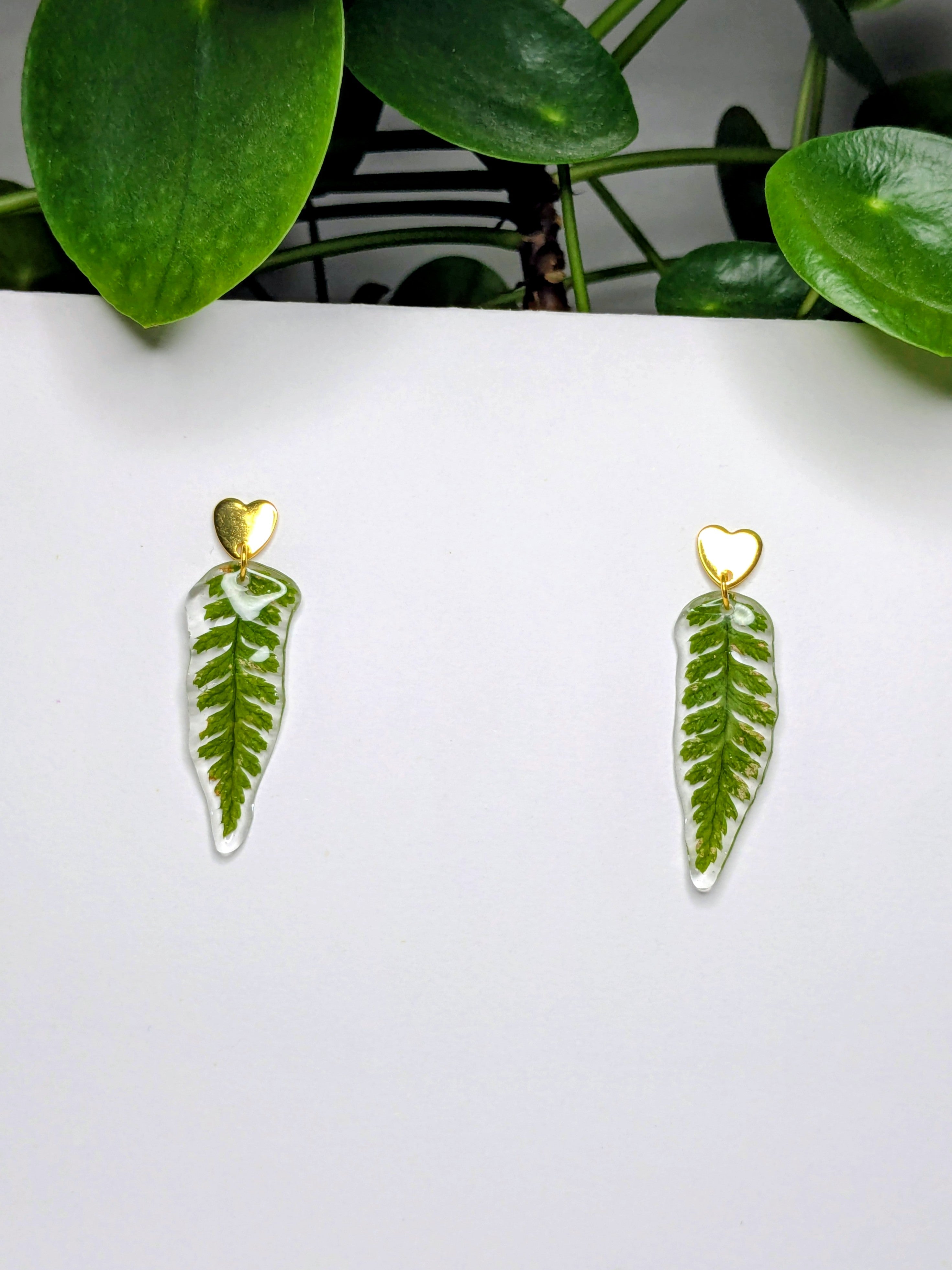Boucles d'oreilles fougères