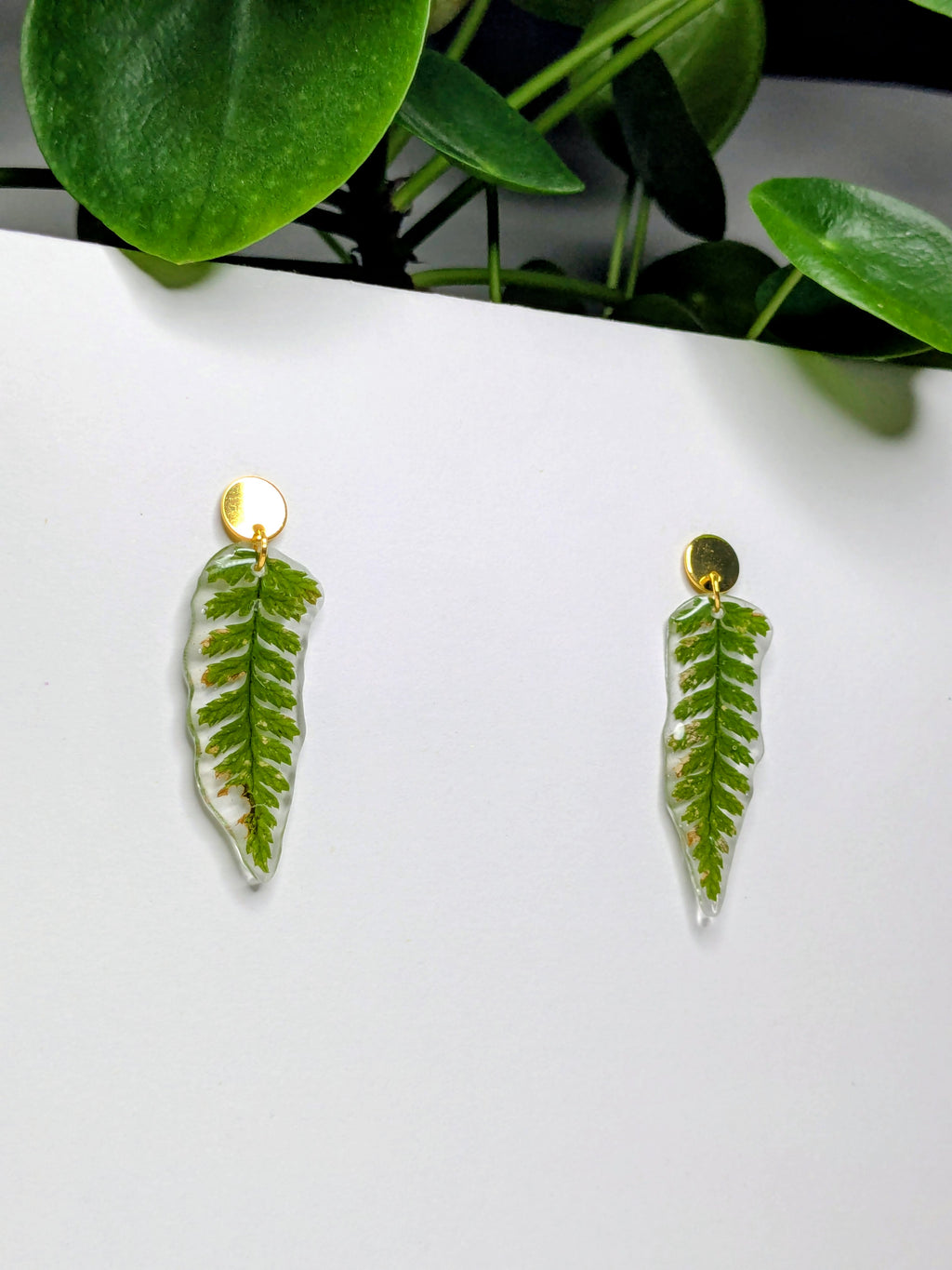 Boucles d'oreilles fougères