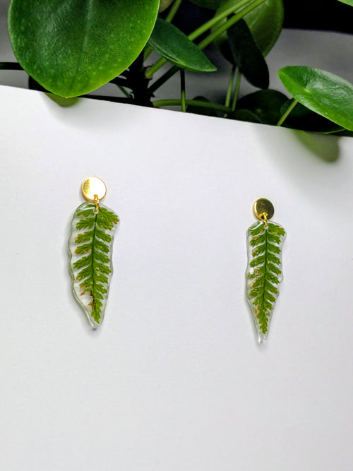 Boucles d'oreilles fougères