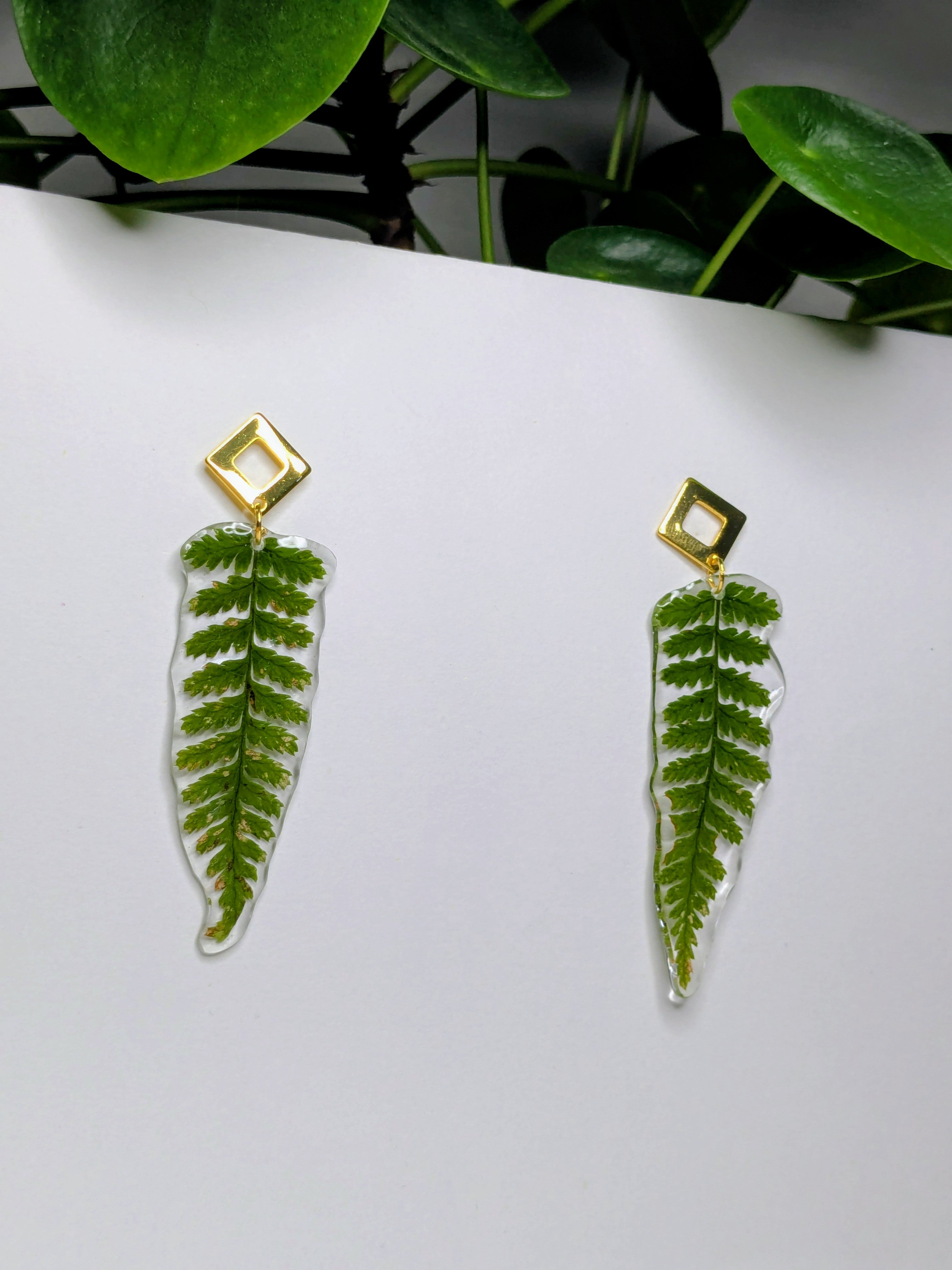 Boucles d'oreilles fougères