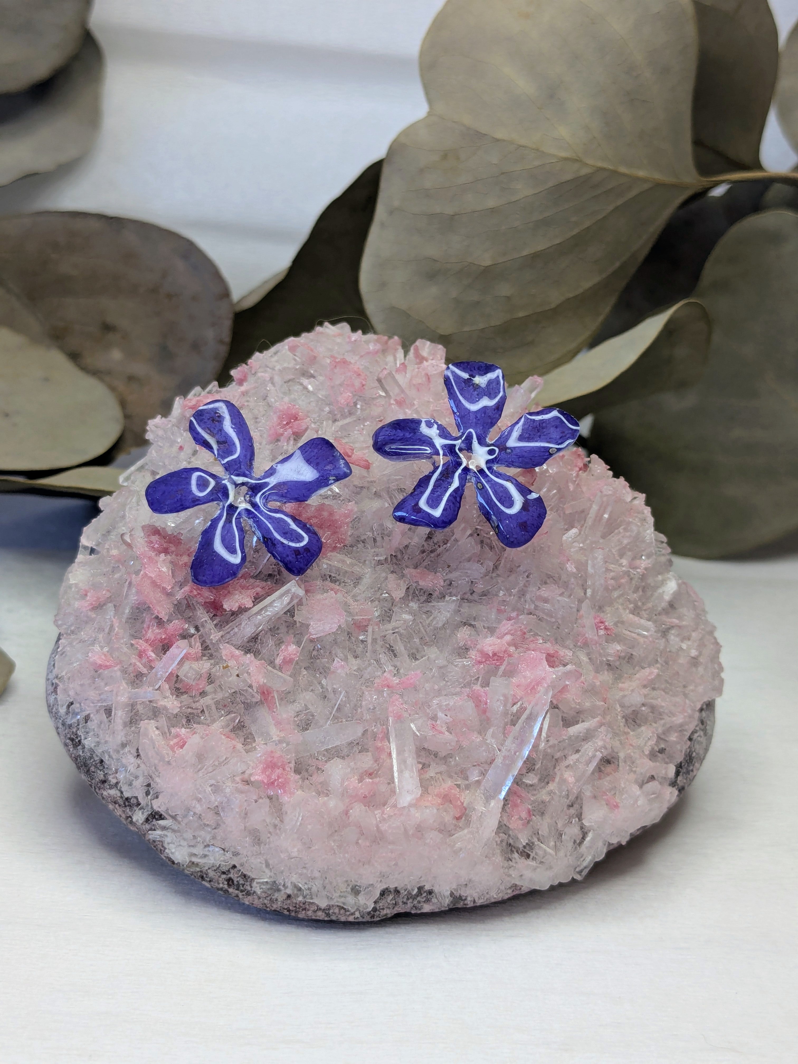 Puces d'oreilles Pervenches