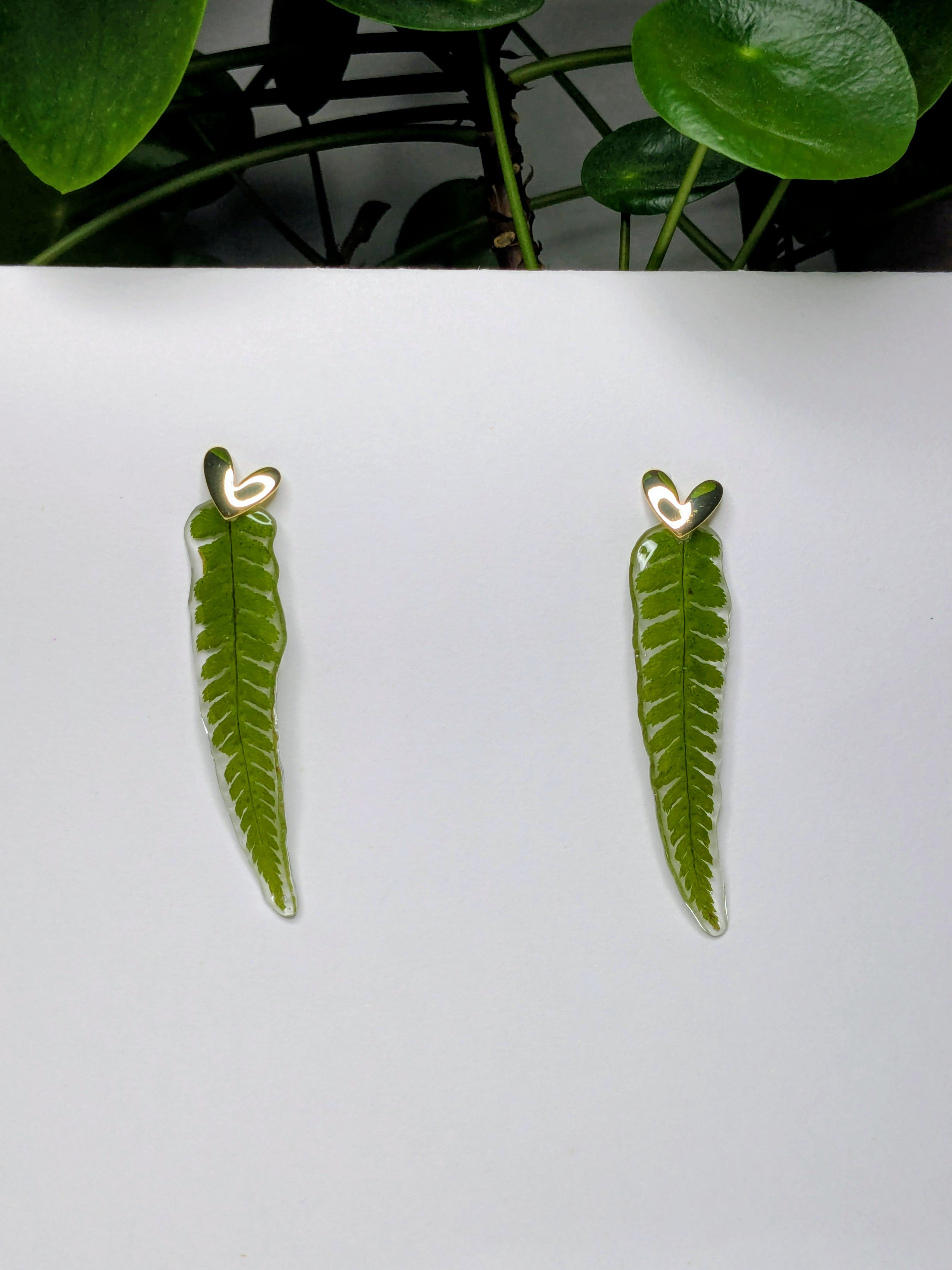 Boucles d'oreilles fougères
