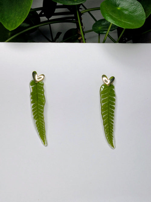 Boucles d'oreilles fougères
