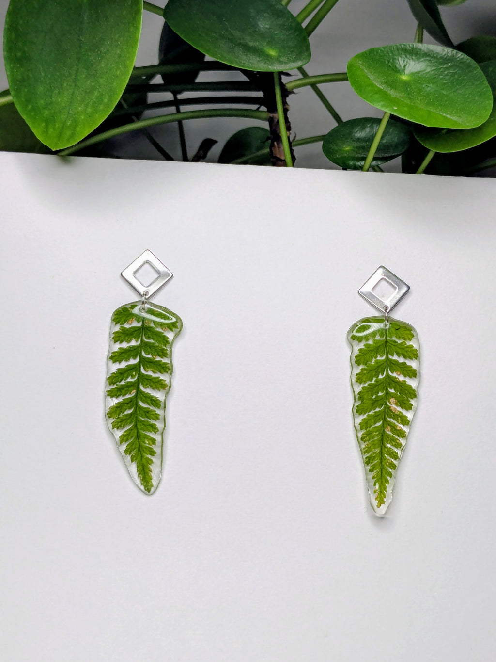 .Boucles d'oreilles fougères