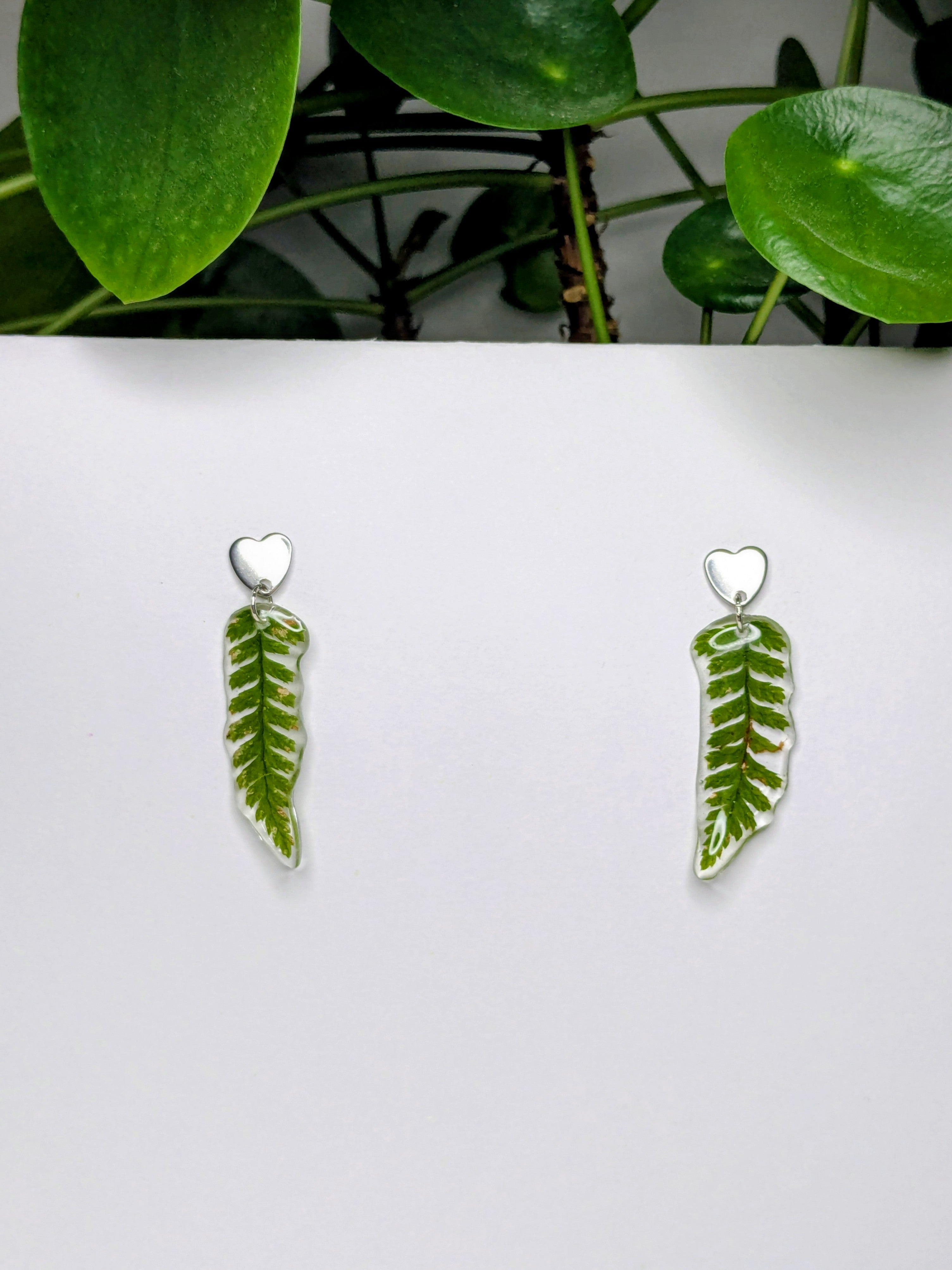 Boucles d'oreilles fougères