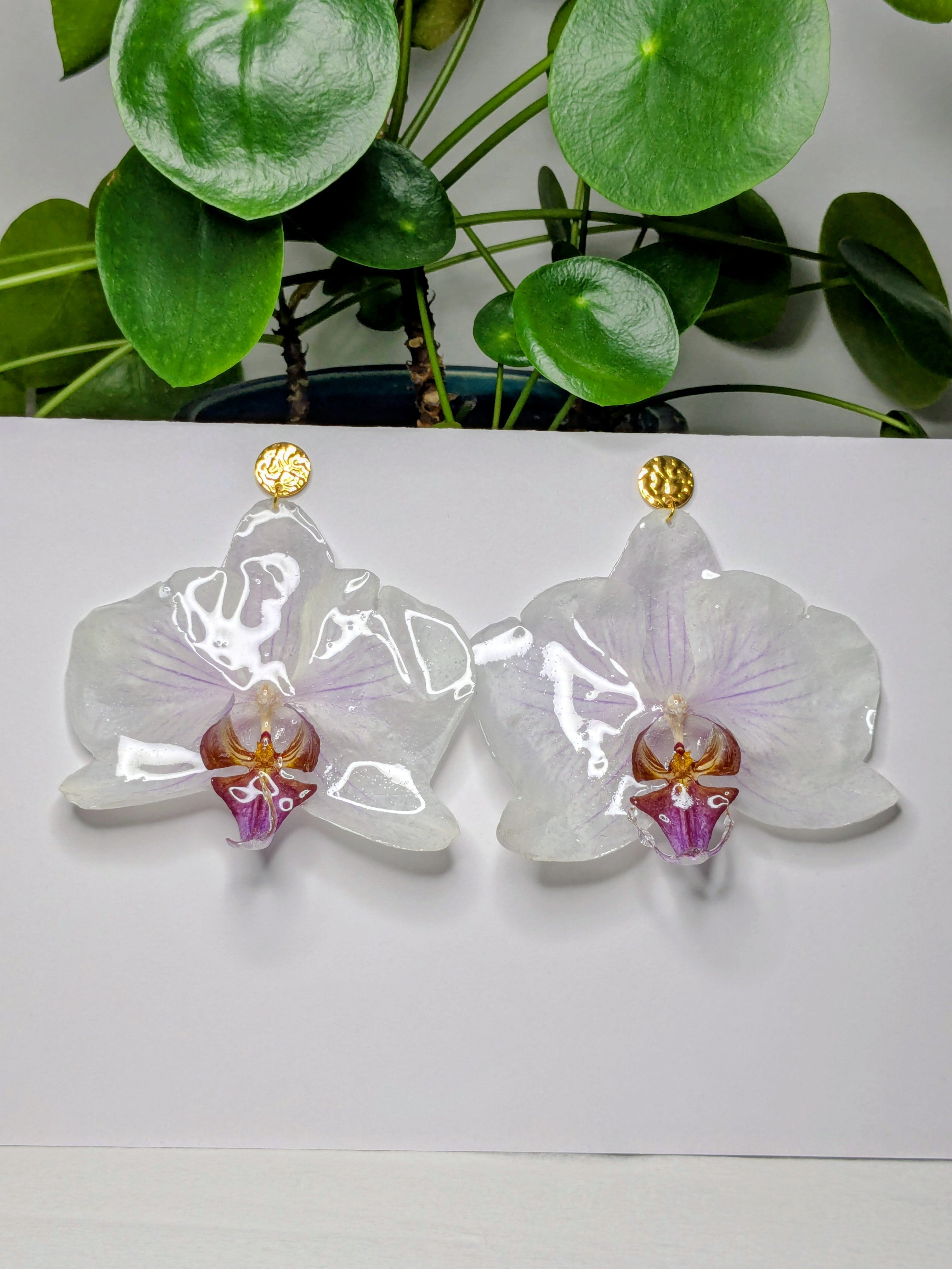 Boucles d'oreilles Orchidées