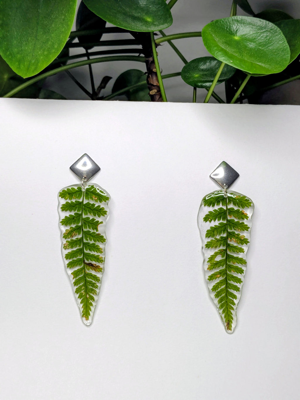 Boucles d'oreilles fougères