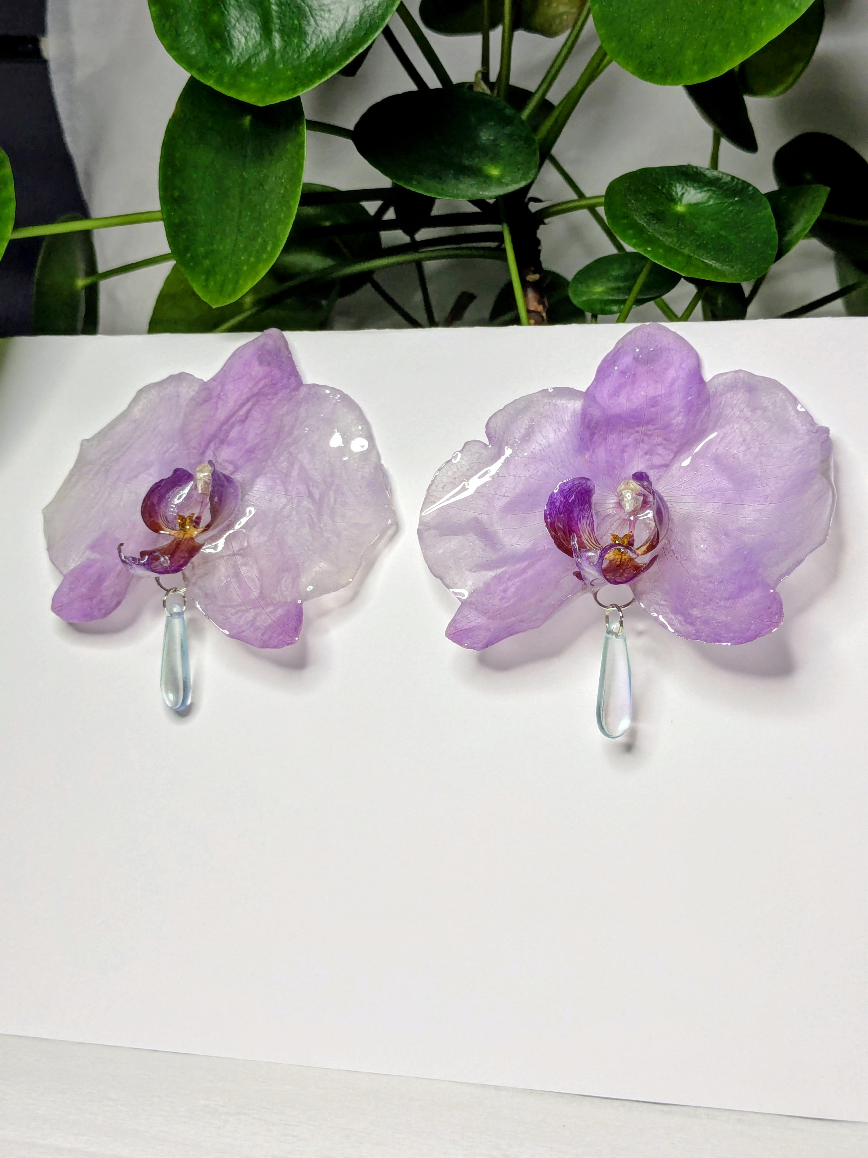 Boucles d'oreilles Orchidées