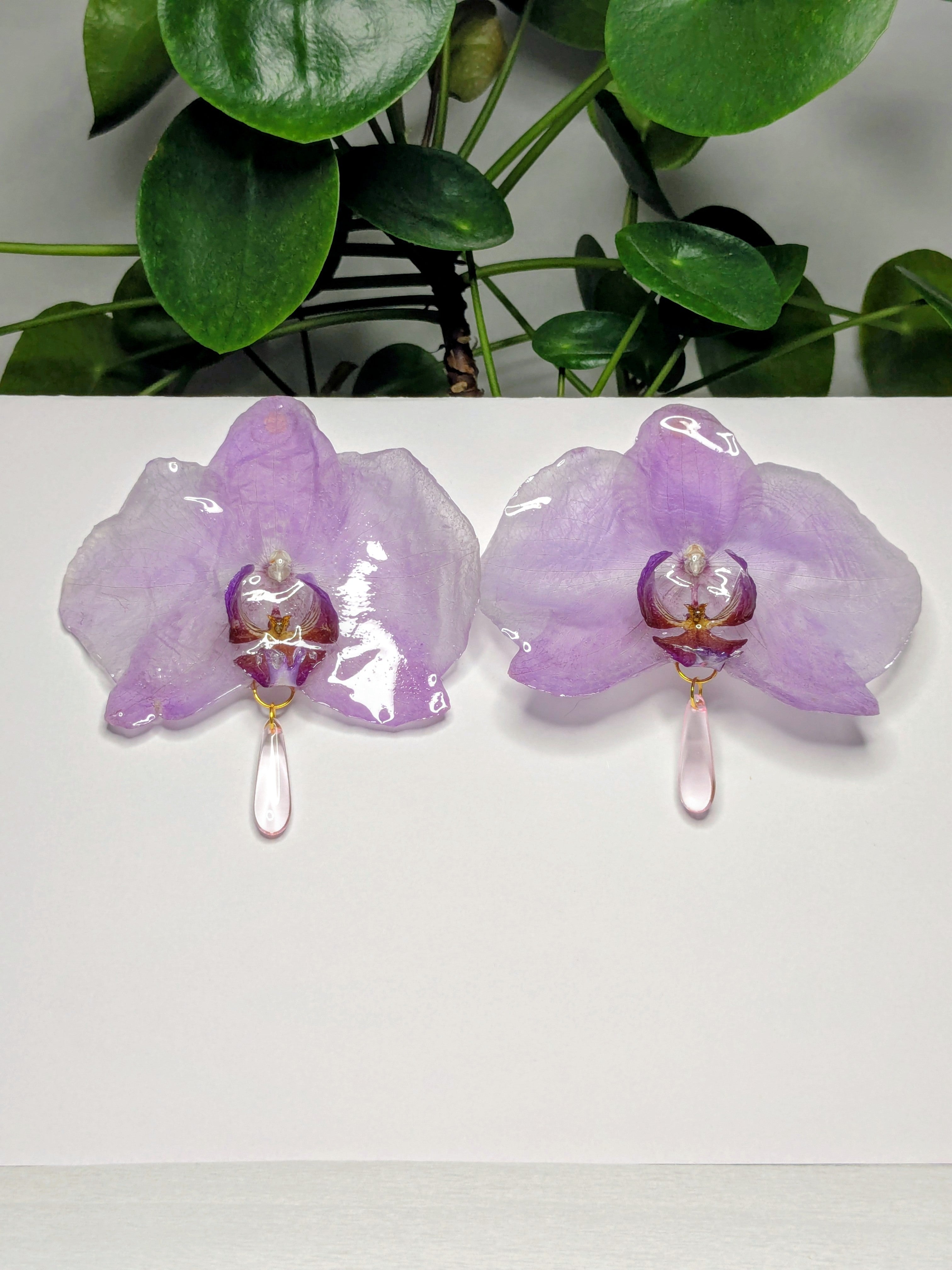 Boucles d'oreilles Orchidées