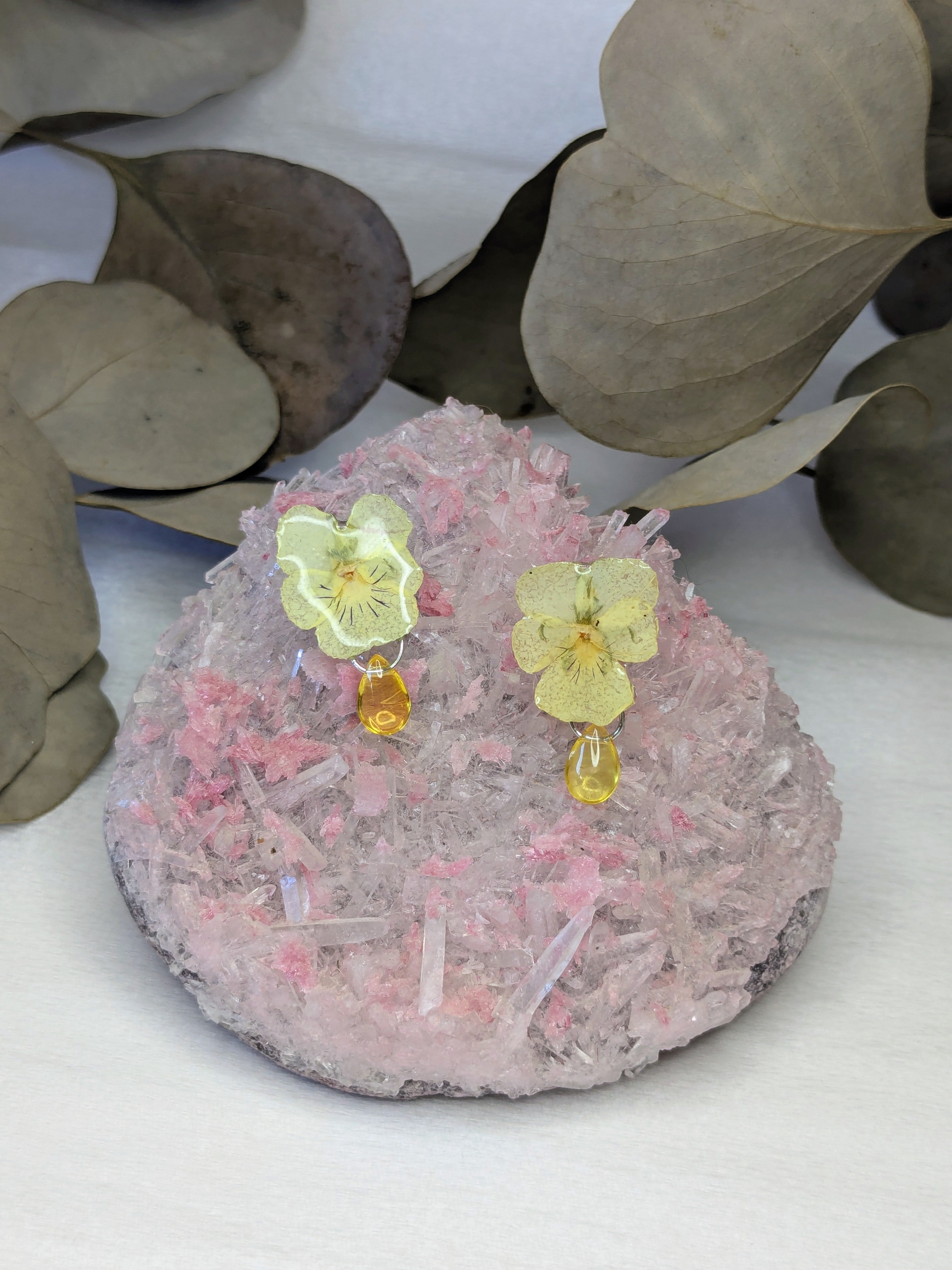 Puces d'oreilles Pensées