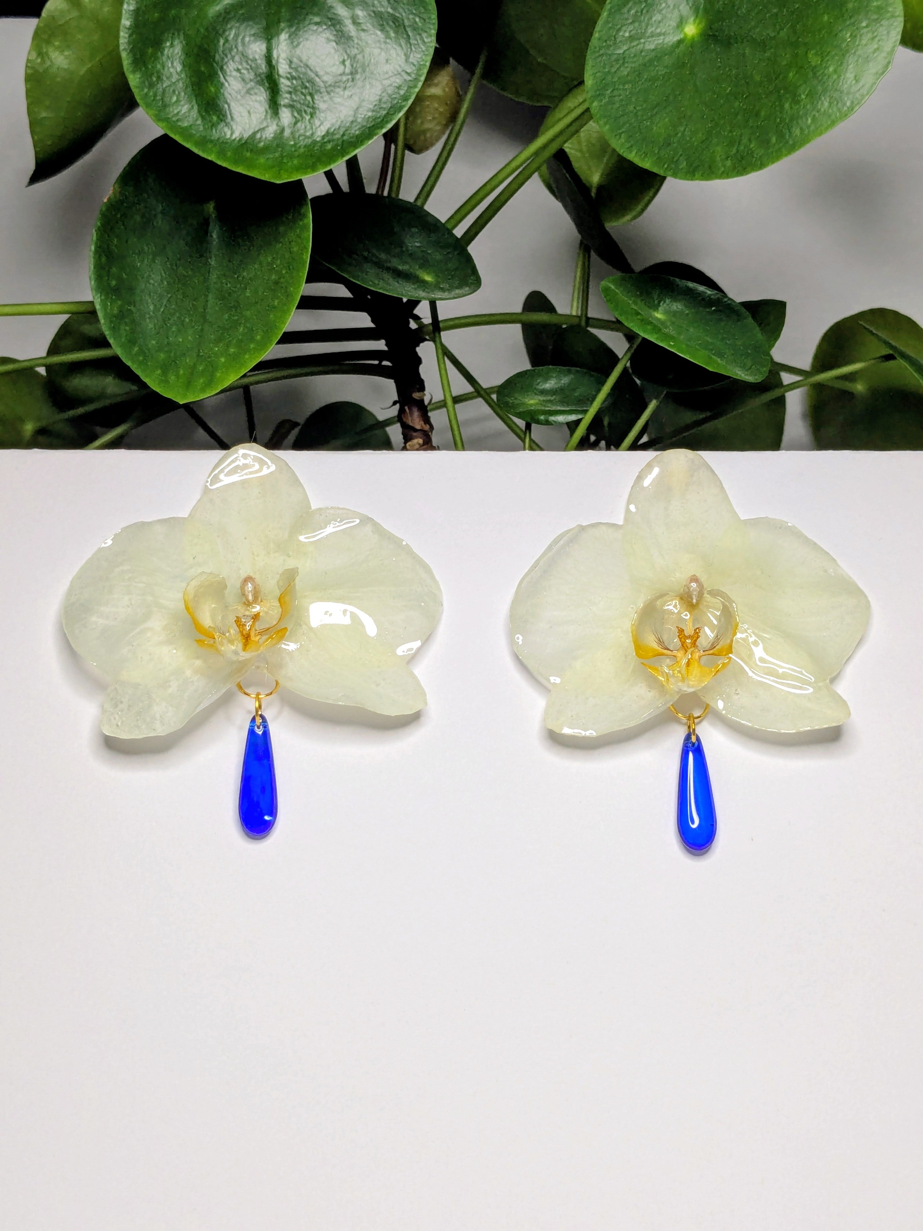 Boucles d'oreilles Orchidées