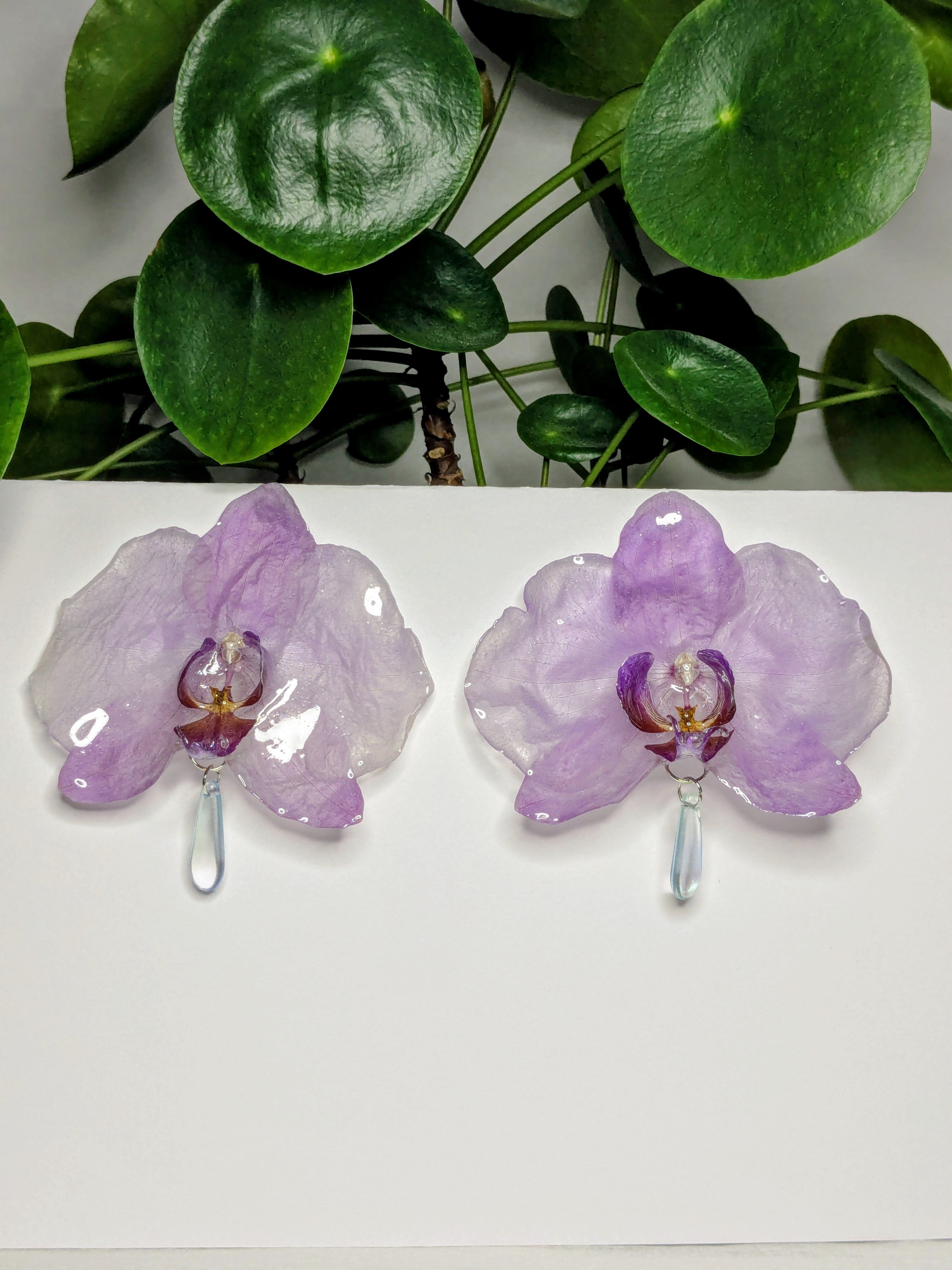 Boucles d'oreilles Orchidées