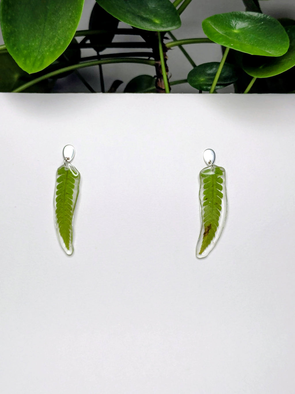 Boucles d'oreilles fougère
