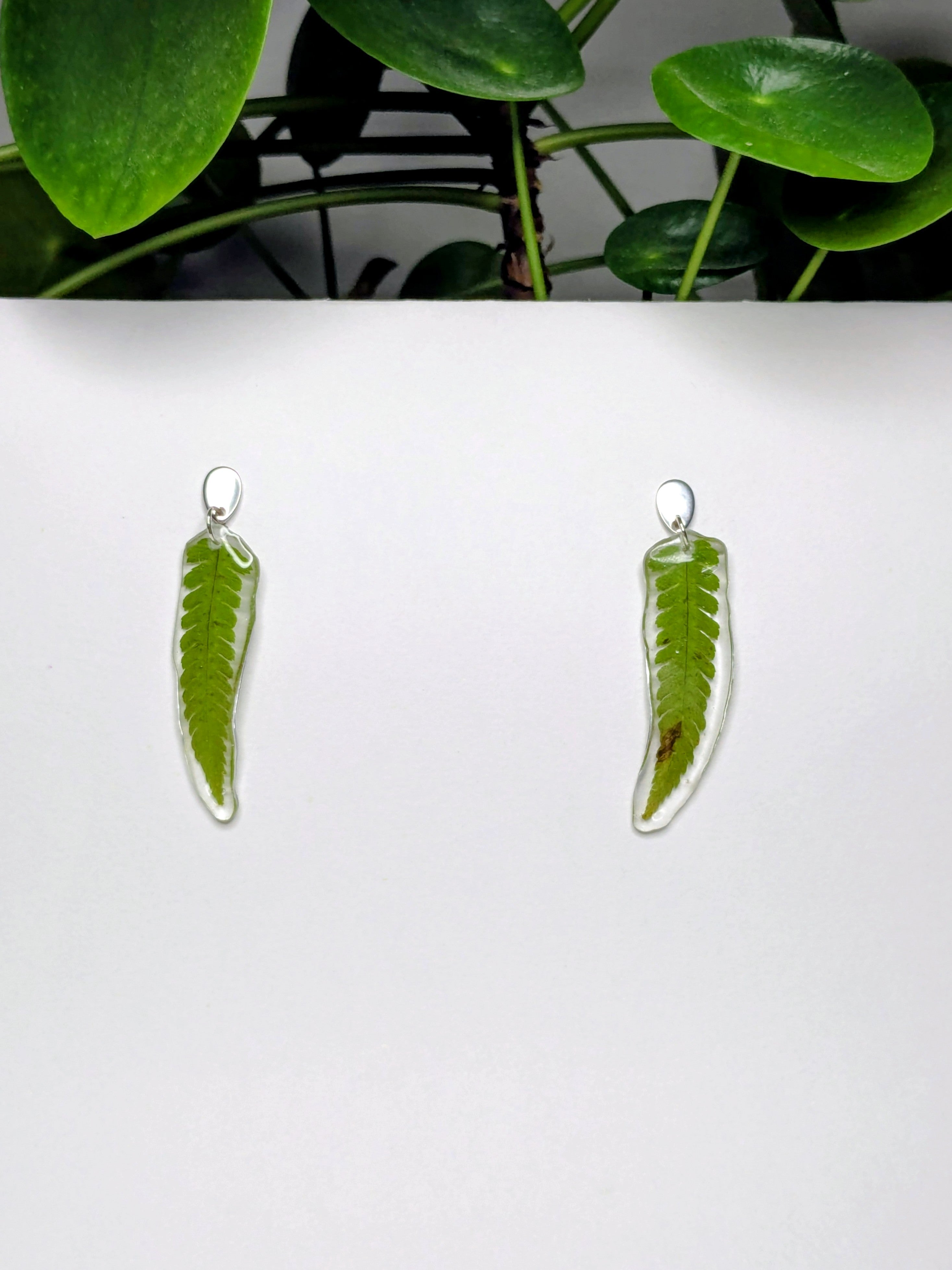 Boucles d'oreilles fougère