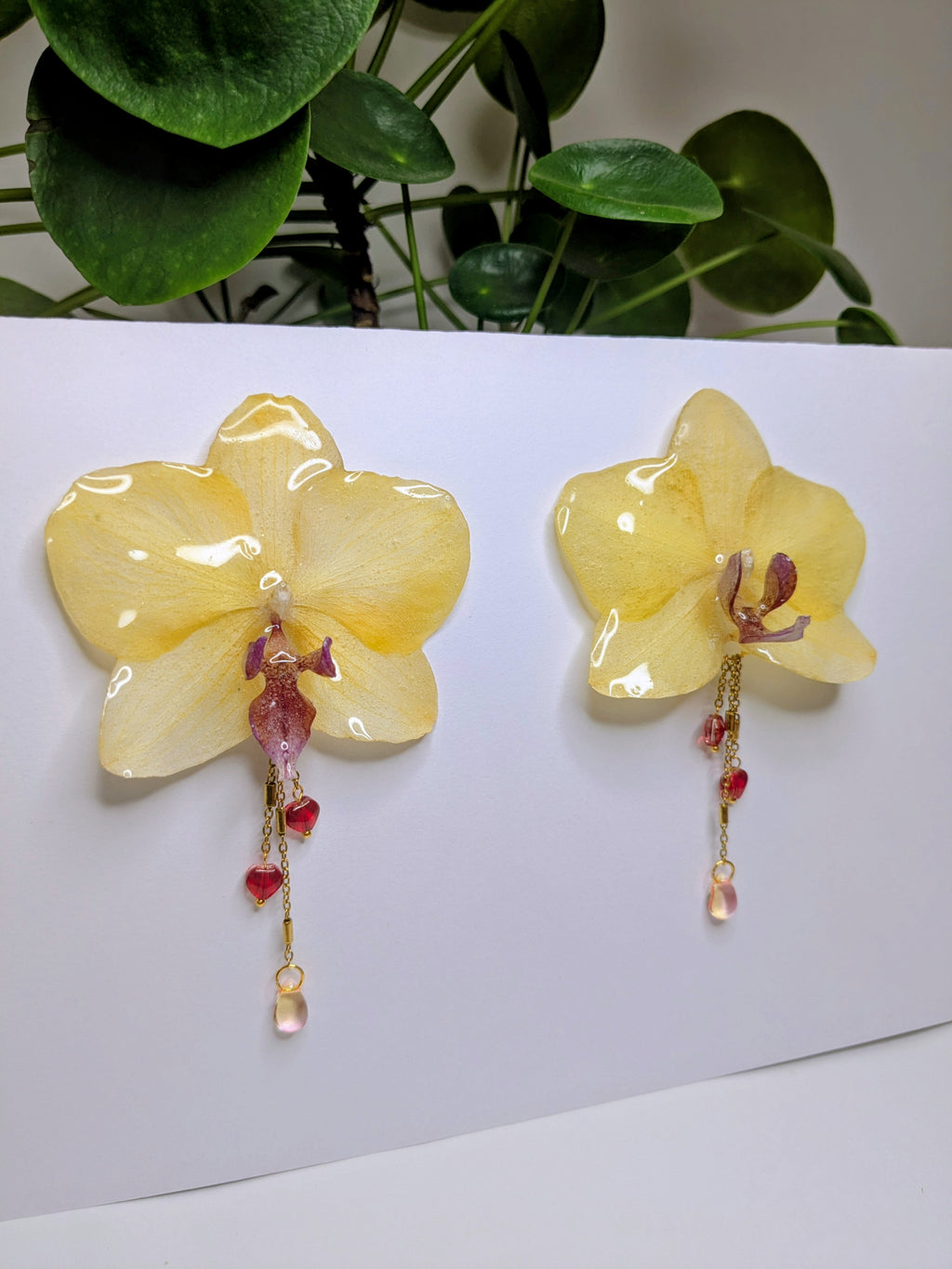 Boucles d'oreilles Orchidées