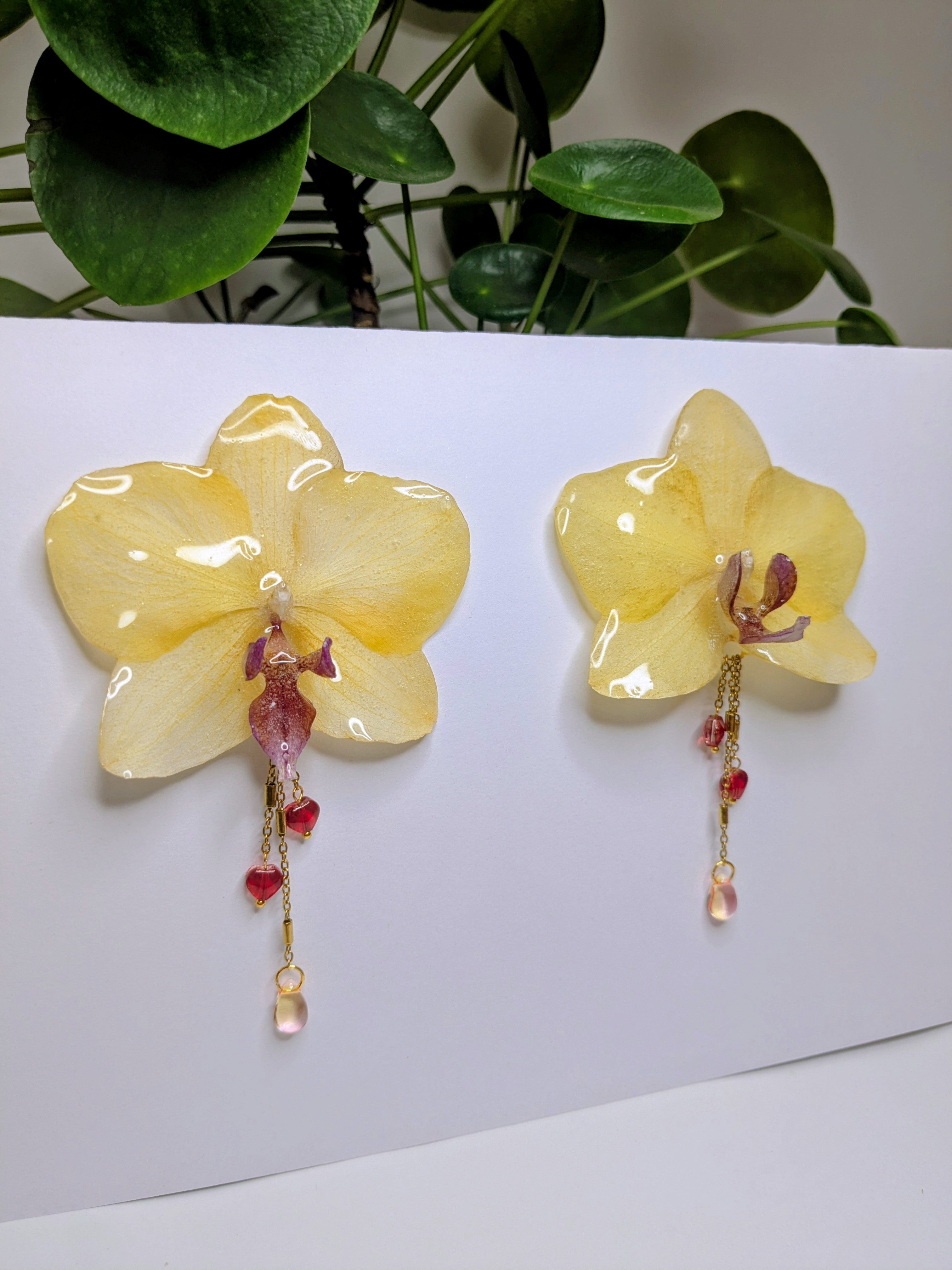 Boucles d'oreilles Orchidées