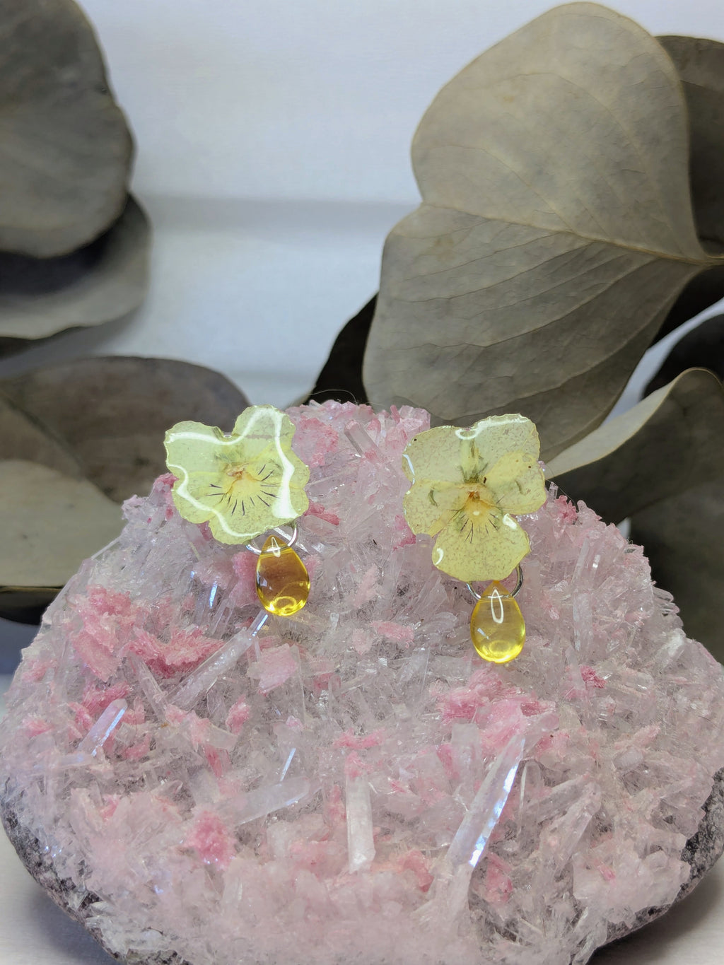 Puces d'oreilles Pensées
