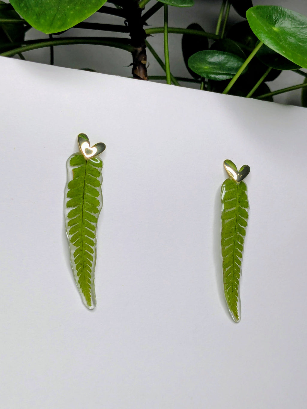 Boucles d'oreilles fougères