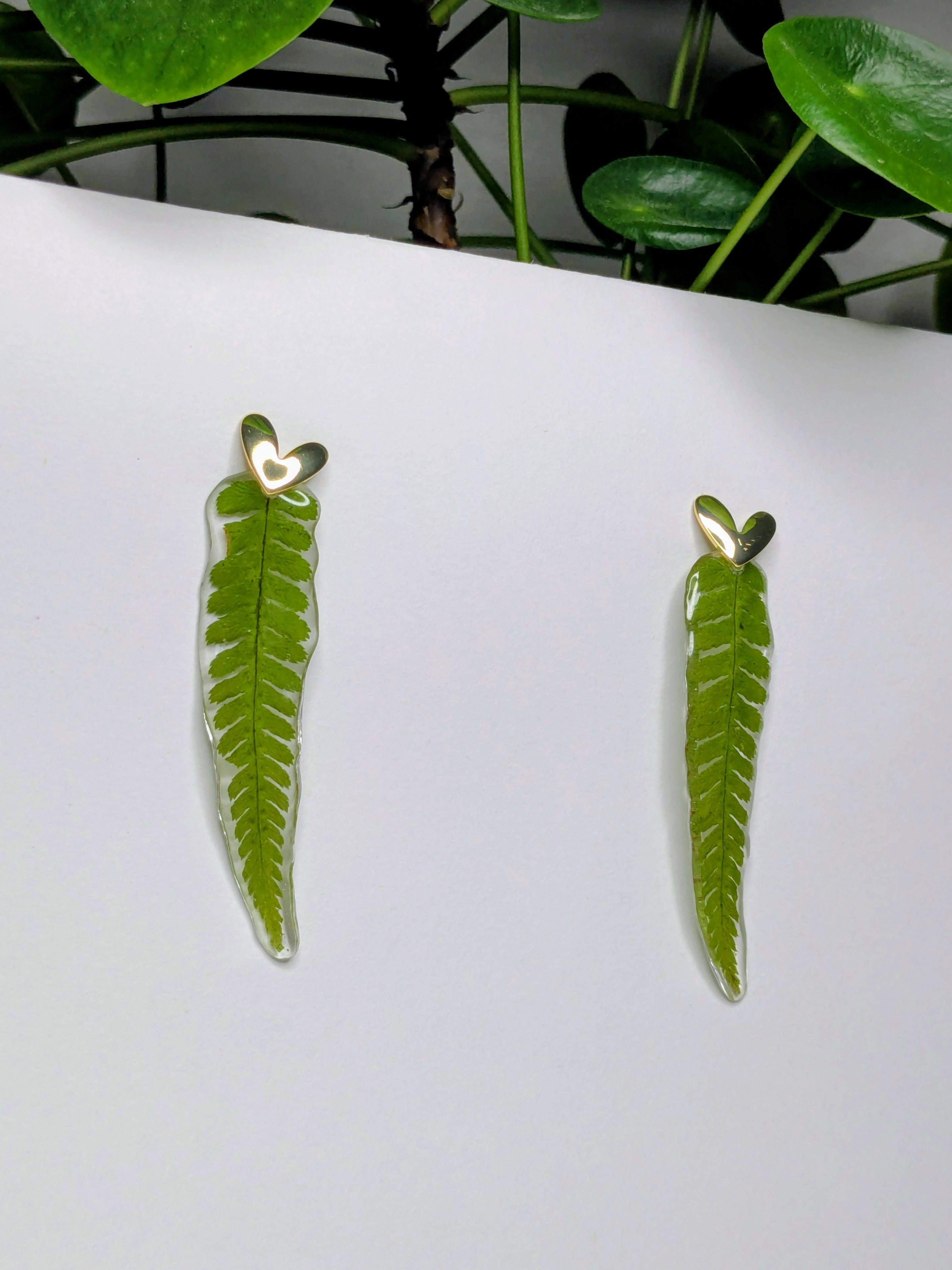 Boucles d'oreilles fougères