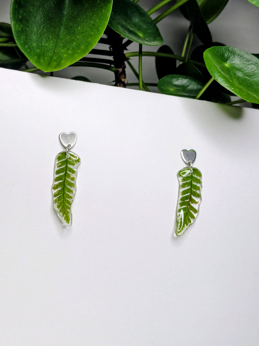 Boucles d'oreilles fougères